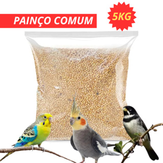 Painço Comum à granel 5kg - Passaro Calopsita Coleiro Periquito em Oferta na Shopee