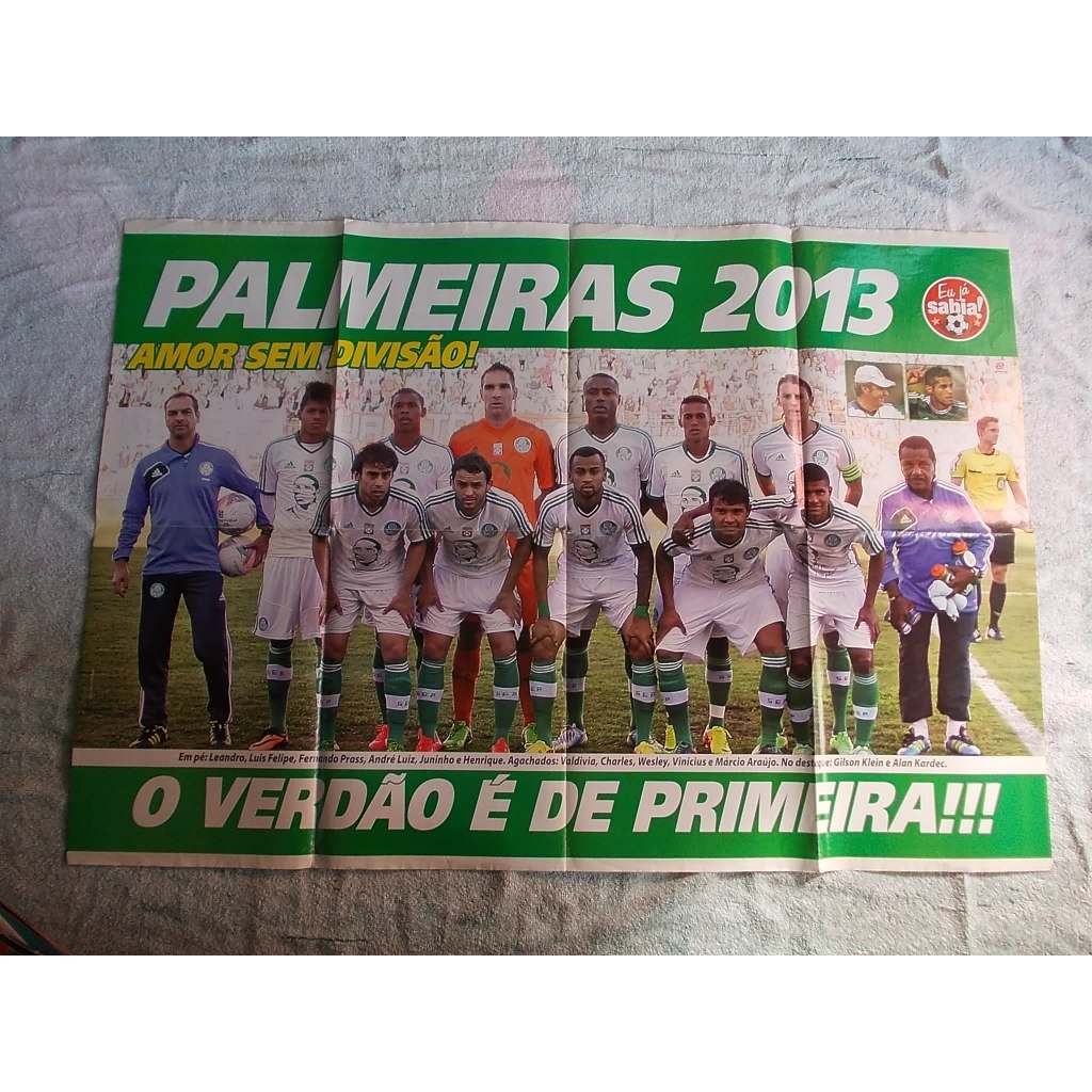 Verdão. Palmeiras 2013. Amor Sem Divisão!. Começou A Festa Do Centenário. Avanti, Palestra!