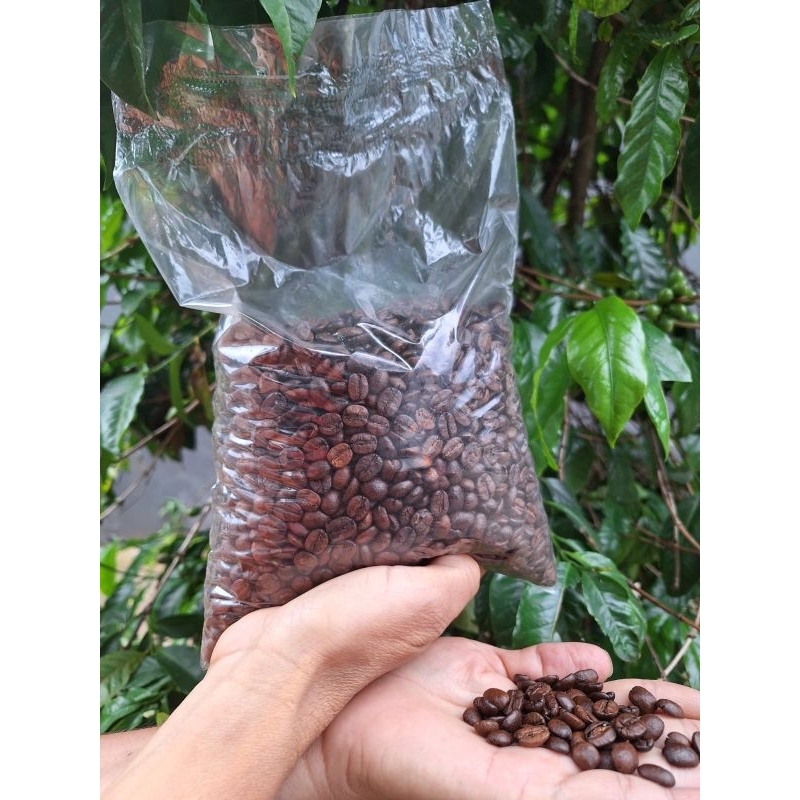 Café Em Grãos Arábica 100% Natural Torra Média 250g / 500g / 750g em Oferta na Shopee