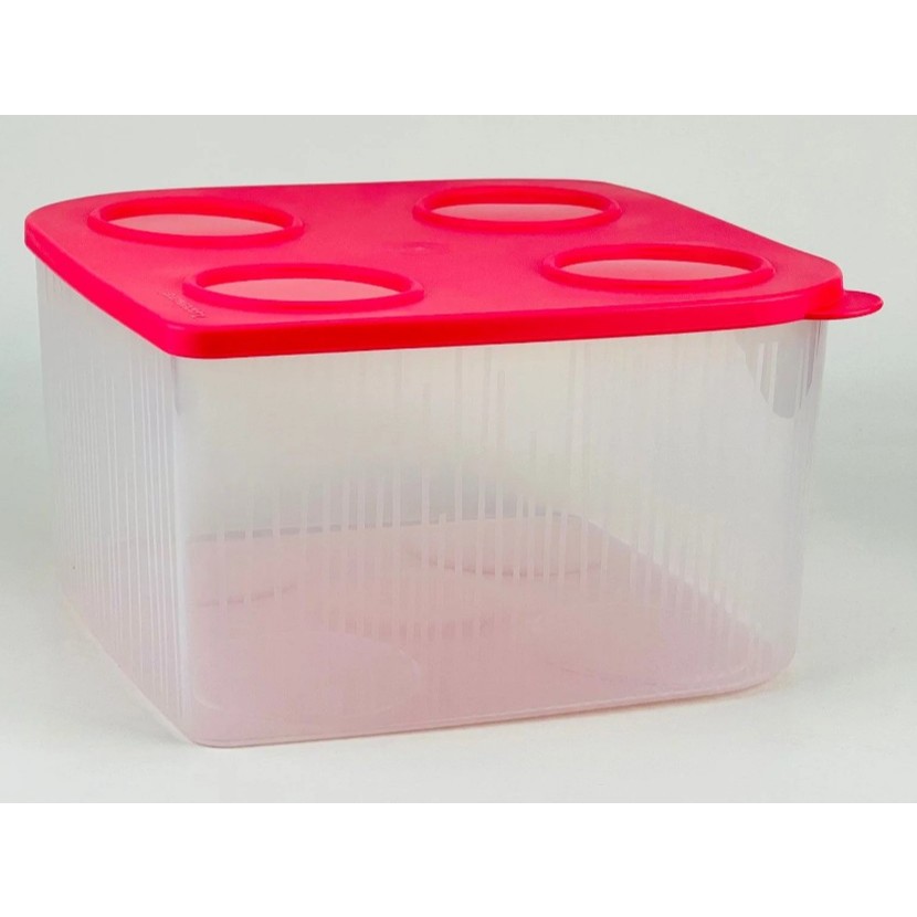 Tupperware Pote Lançamento Fresh Box 5.2 Litros Tupper