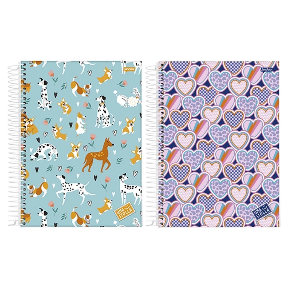 Caderno Espiral Jandaia Universitário Capa Dura Stella 20 Matérias 320 Folhas - Embalagem com 2 Unidades (Sortidos)