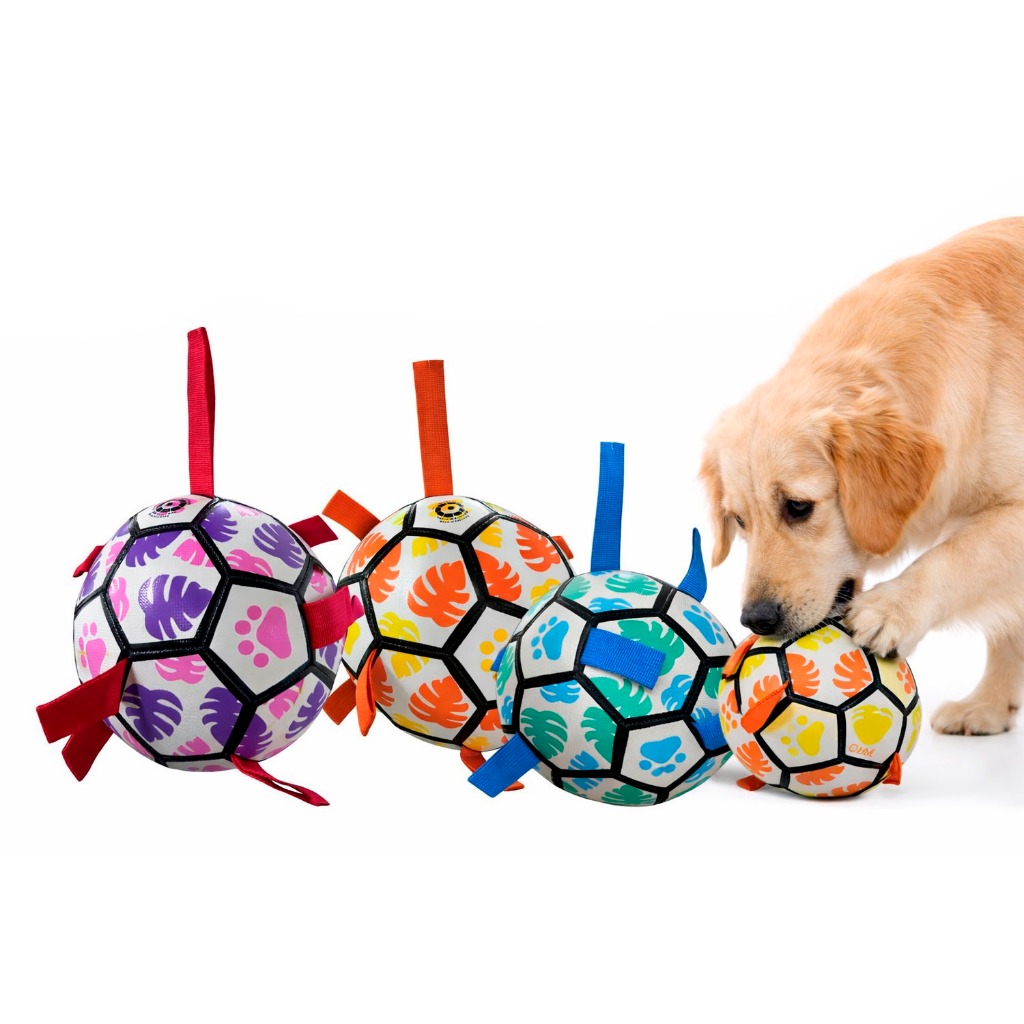 Brinquedos Resistentes para Cachorros: Onde Comprar | BuscaProdutos