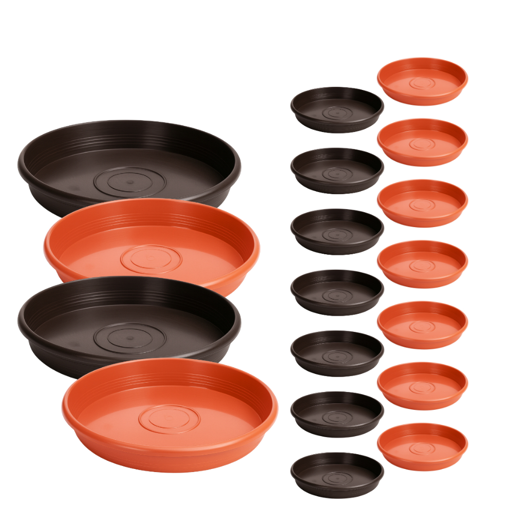 Pratinho para Planta: Onde Comprar | BuscaProdutos