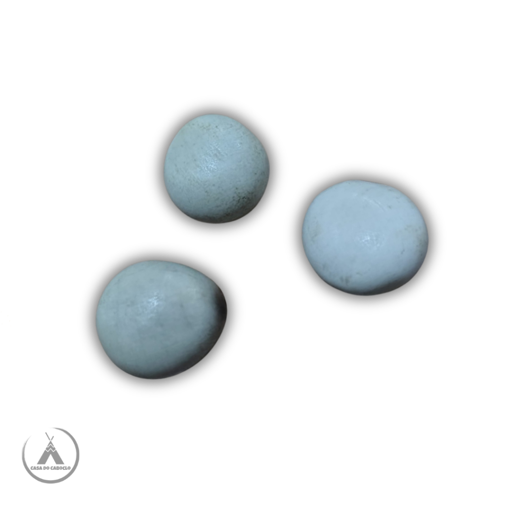 Kit 3 Unidades - Fava de Oxossi - Umbanda - Candomblé