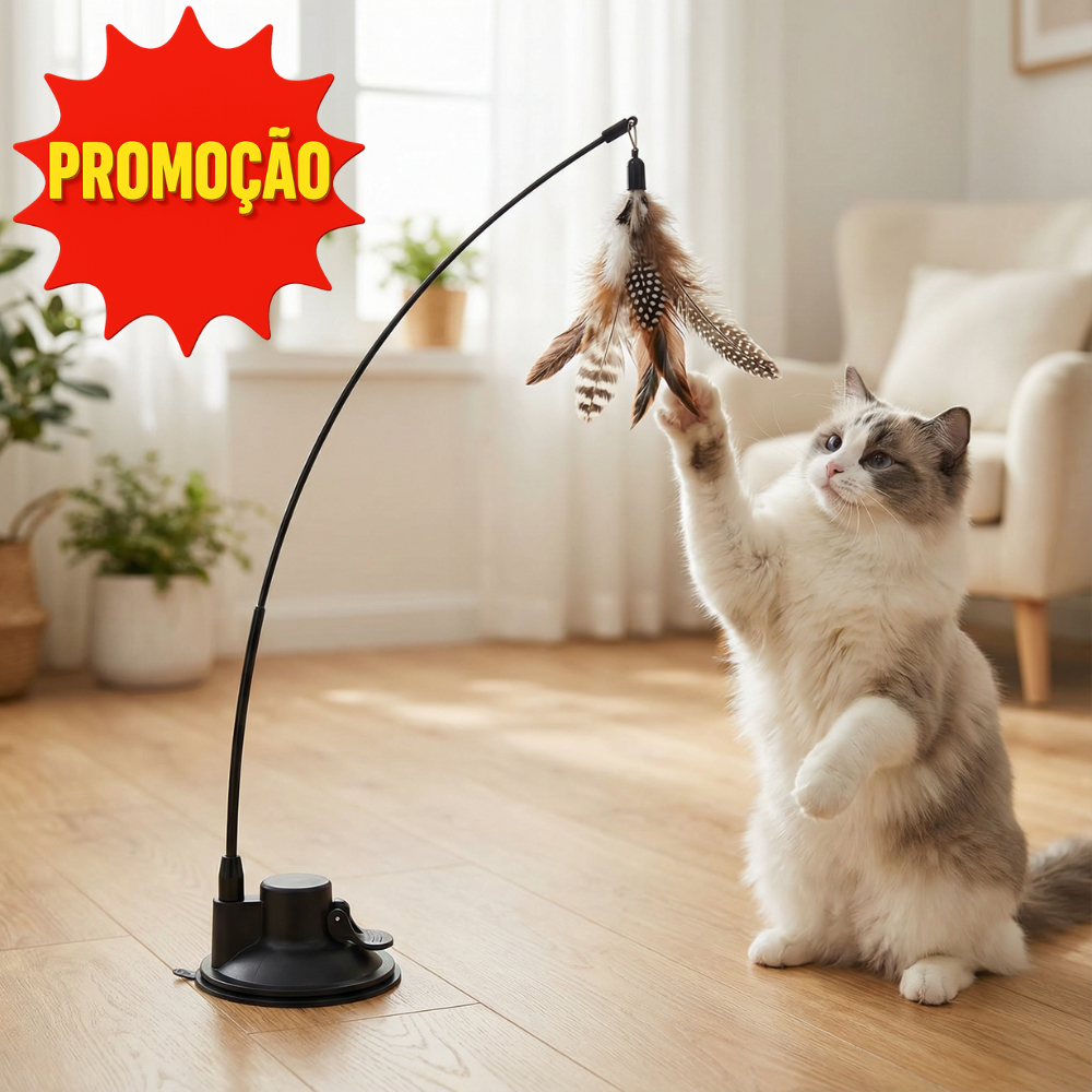 Varinha Brinquedo: Onde Comprar | BuscaProdutos