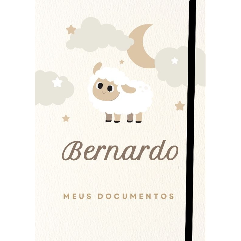 Porta Documentos do bebê - Porta documentos Personalizado da criança - Capa para documentos