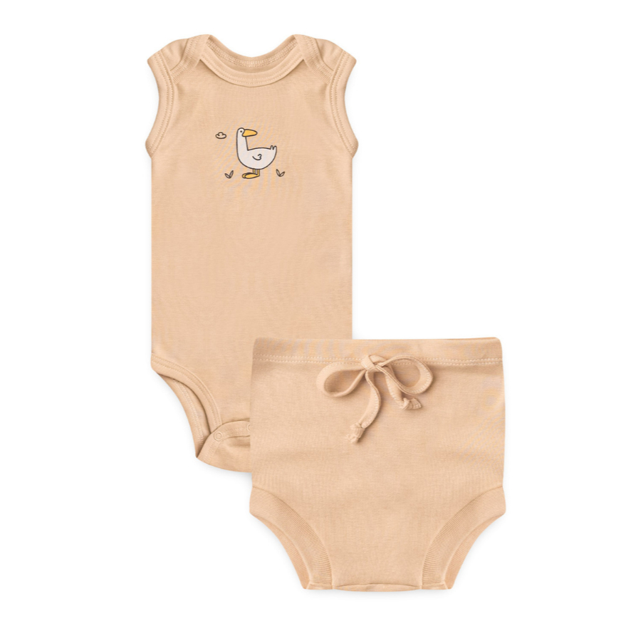 Bolo de Fraldas - Comprar com Melhor Preço em Padaria