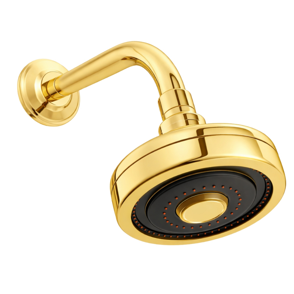 Ducha Chuveiro Autolimpante Dourado Inox Redondo Aquecedor a Gás ou Solar Cabeça Articulável Luxo