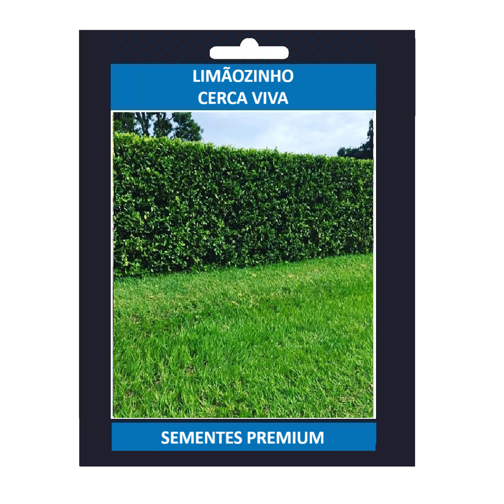 OPORTUNIDADE 500 Sementes Limãozinho Bravo Cerca Viva Premium OPORTUNIDADE T7