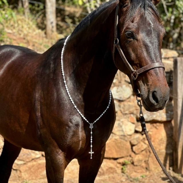 Terço Peitoral Nossa Senhora Aparecida Para Cavalo Egua Mula Acessorio Religioso de Luxo Feito a Mão