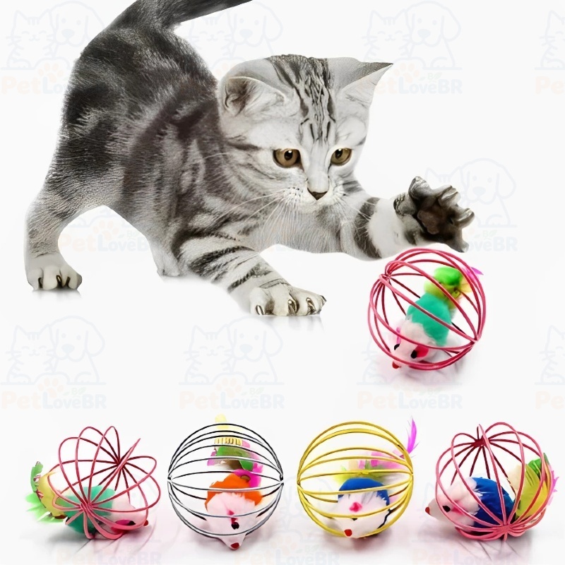 Brinquedo Para Gato Pet Gaiola RatInho Com Pena Bolinha Divertida e Colorido Interativo