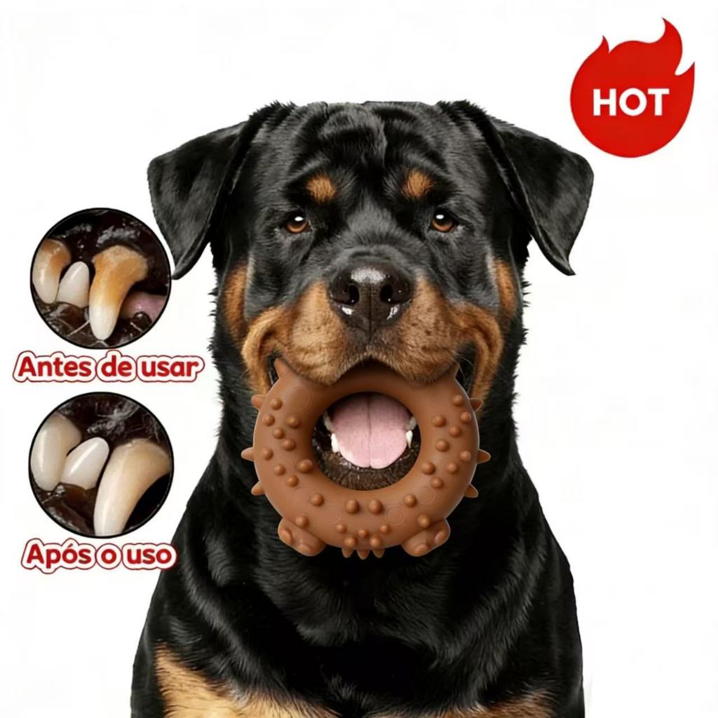 O que é Amendoim para Cachorro? Guia e Onde Comprar | BuscaProdutos