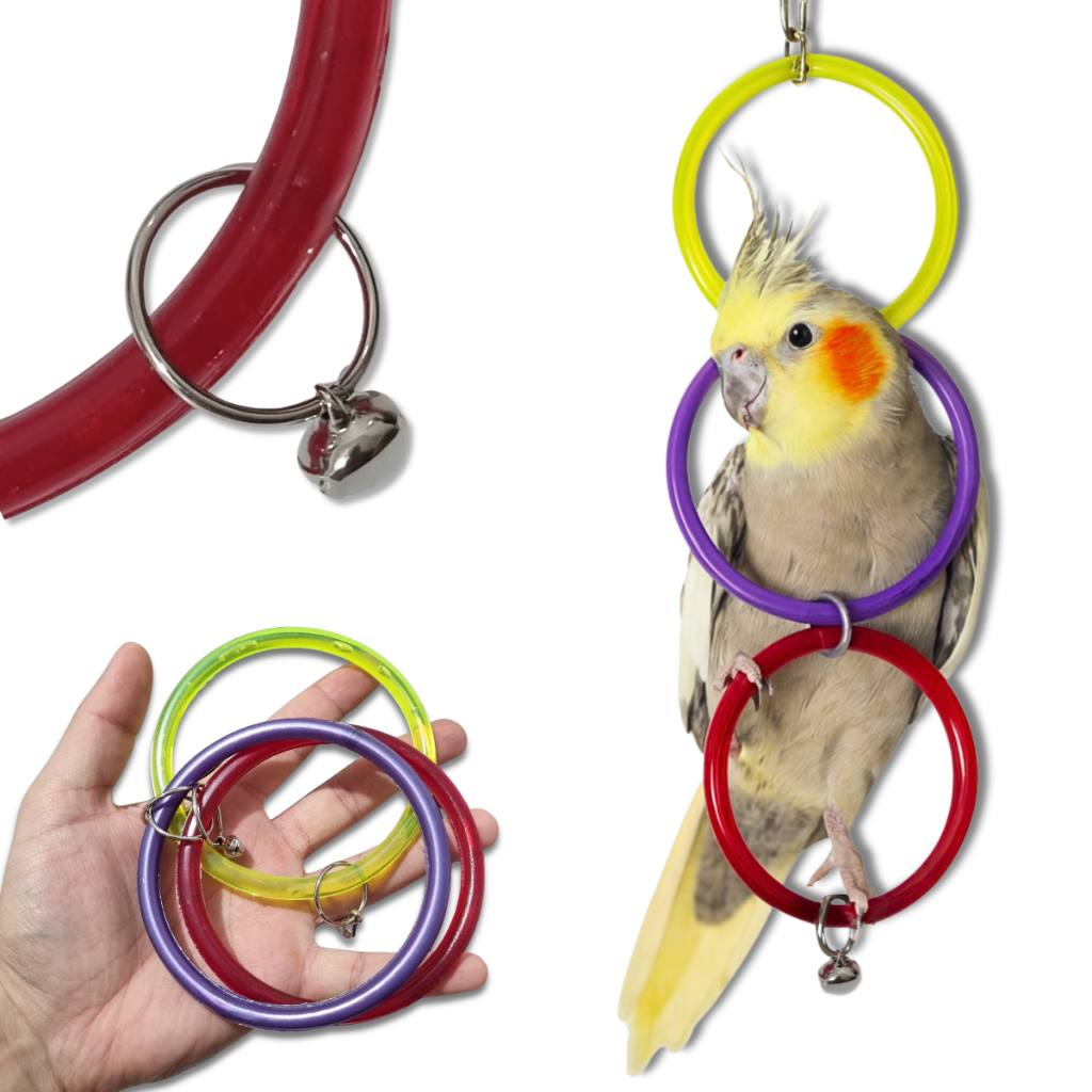 BRINQUEDO Argola Tripla Calopsita Balanço Pássaros Aves Colorida Atacado passarinho com sino guizo