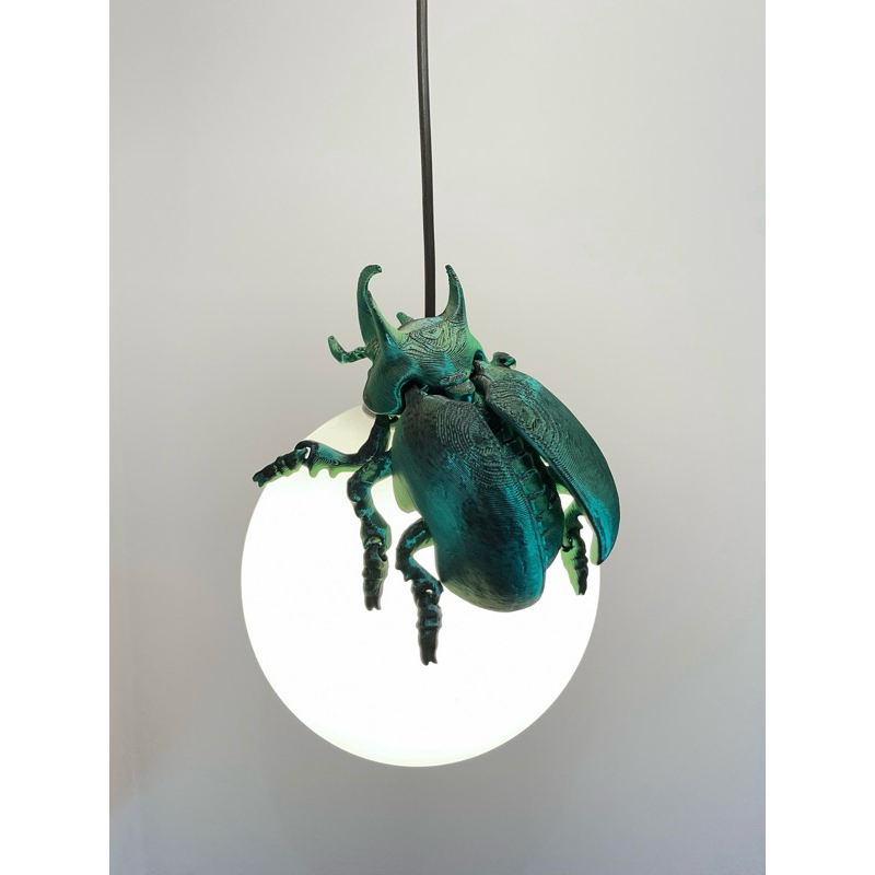 Brinquedo Besouro Duo Color • Articulado 3D • Colecionável em Oferta na Shopee