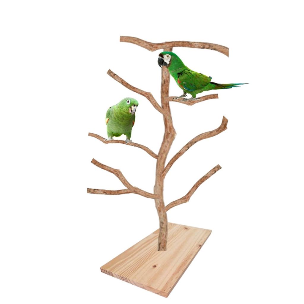 Brinquedos Playground para Papagaios: Onde Comprar | BuscaProdutos