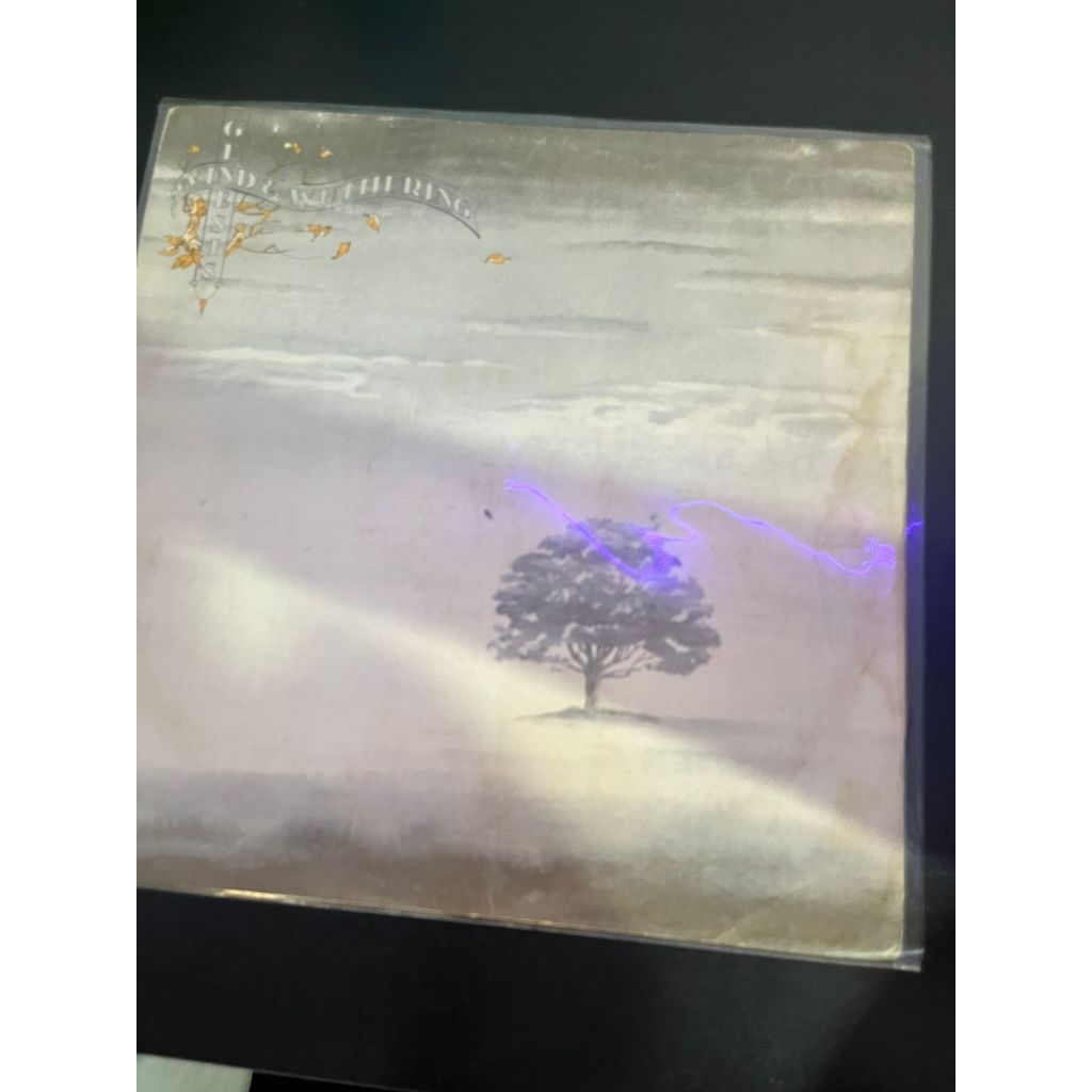 GENESIS - WIND & WUTHERING