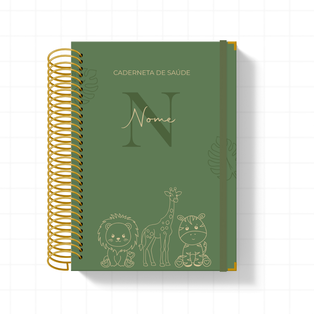 Caderneta de Saúde Vacinação Menino Personalizada Atualizada Capa Dura Vários Temas