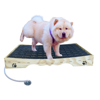 Banheiro inteligente M sanitario com mangueira e Dreno Pequenos Pets 78x53cm em Oferta na Shopee