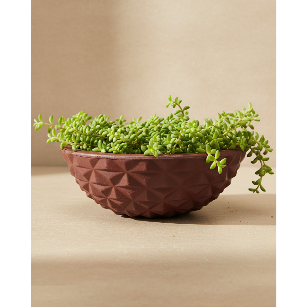 Vaso Decorativo em Polietileno para Planta Bacia Diamante 14x34x17cm