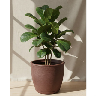 Vaso Polietileno Para Plantas Jardim Sala Luxo Escovado Bojo Pequeno Com Prato em Oferta na Shopee