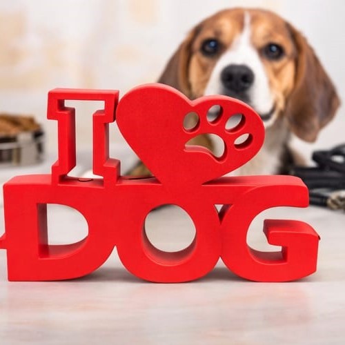 Letreiro AMO DOG Decorativo | Enfeite Pet para Mesa | Plástico Durável | Ideal para Dog Lovers