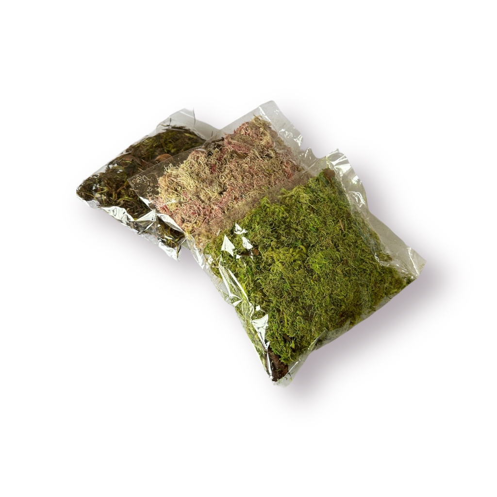 Musgo para Artesanato - Pacotinho com 20g