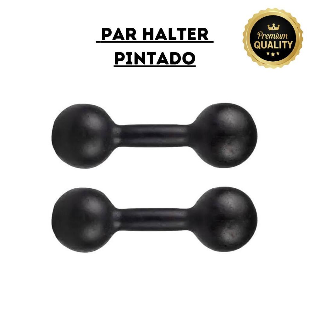 Par Halter Pintado Bola - 1 Kg ao 5 Kg Academia Musculação Treino Em Casa