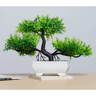 Vasinho de blástico com bonsai artificial para decoração em Oferta na Shopee