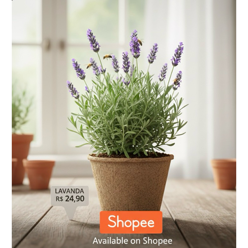 Lavanda Muda Perfumada: Relaxamento e Sono Tranquilo em Sua Casa! 💜 Vaso e adubo de brinde