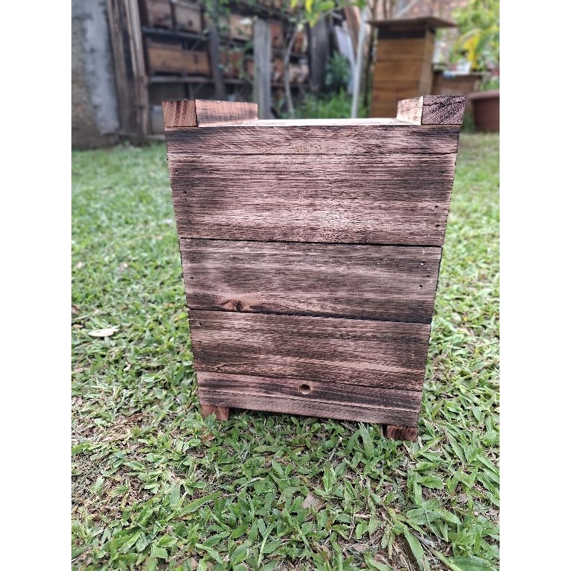Caixa Inpa 18x18 para abelhas  sem ferrão