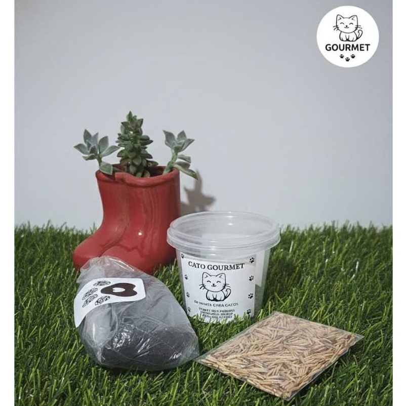 KIT GRAMA PARA GATOS  AUTOCULTIVO VASO+TERRA+SEMENTES DE AVEIA