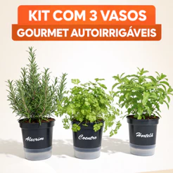 🌱 Kit 3 Vasos Autoirrigáveis Gourmet – Perfeitos para Ervas na Cozinha! Sem Dengue, Sem Preocupação!