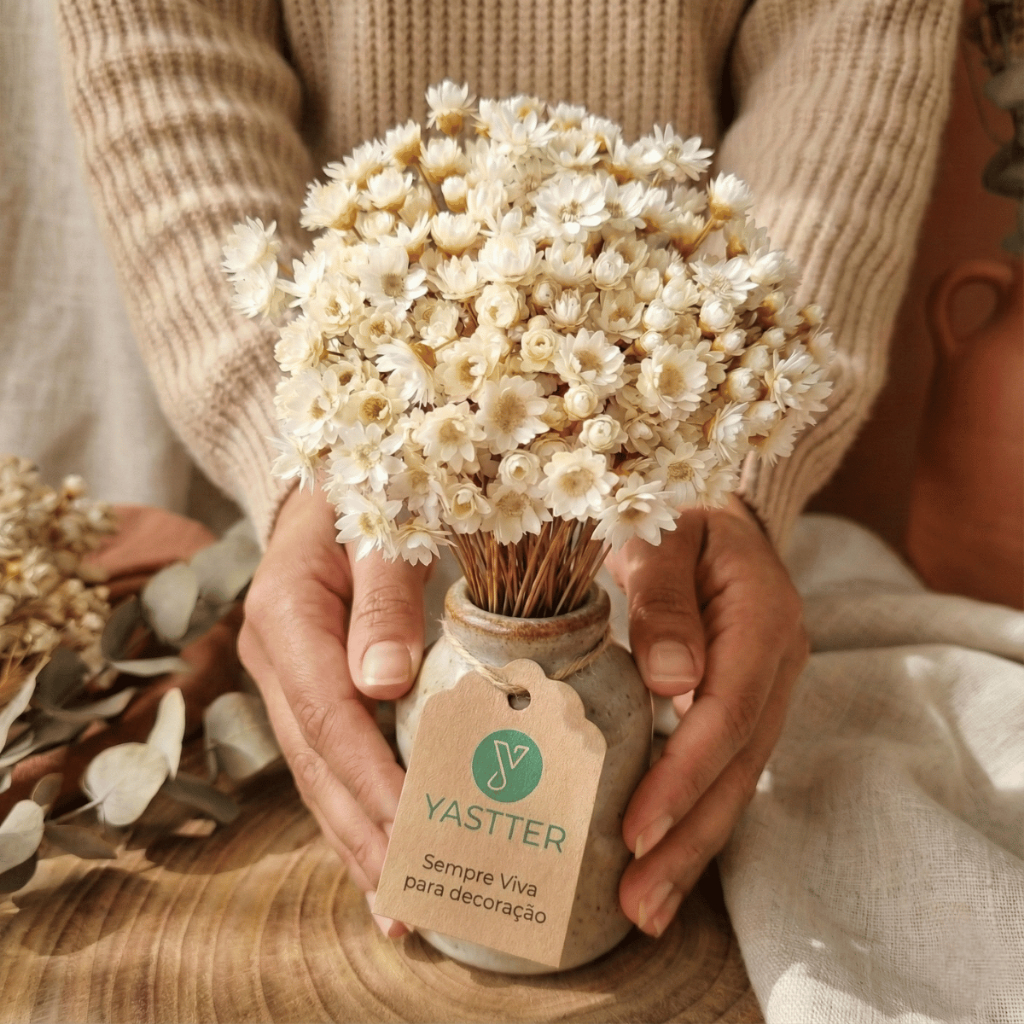 Flor Sempre Viva para Decoração – Buquê Premium de Flores Secas Tipo 1 Extra (NÃO ACOMPANHA VASO) em Oferta na Shopee