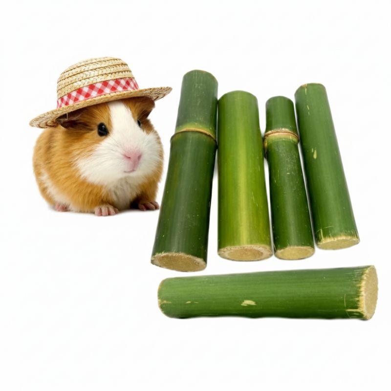 brinquedo Bambú Natural Para Roedores Porquinho Da India Hamster coelho 05 unid