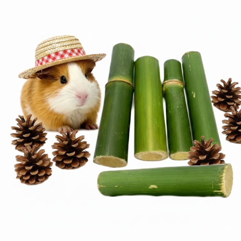 brinquedo Bambú e de pinha Natural Para Roedores Porquinho Da India Hamster coelho 05 unid e 6 unidades de pinha