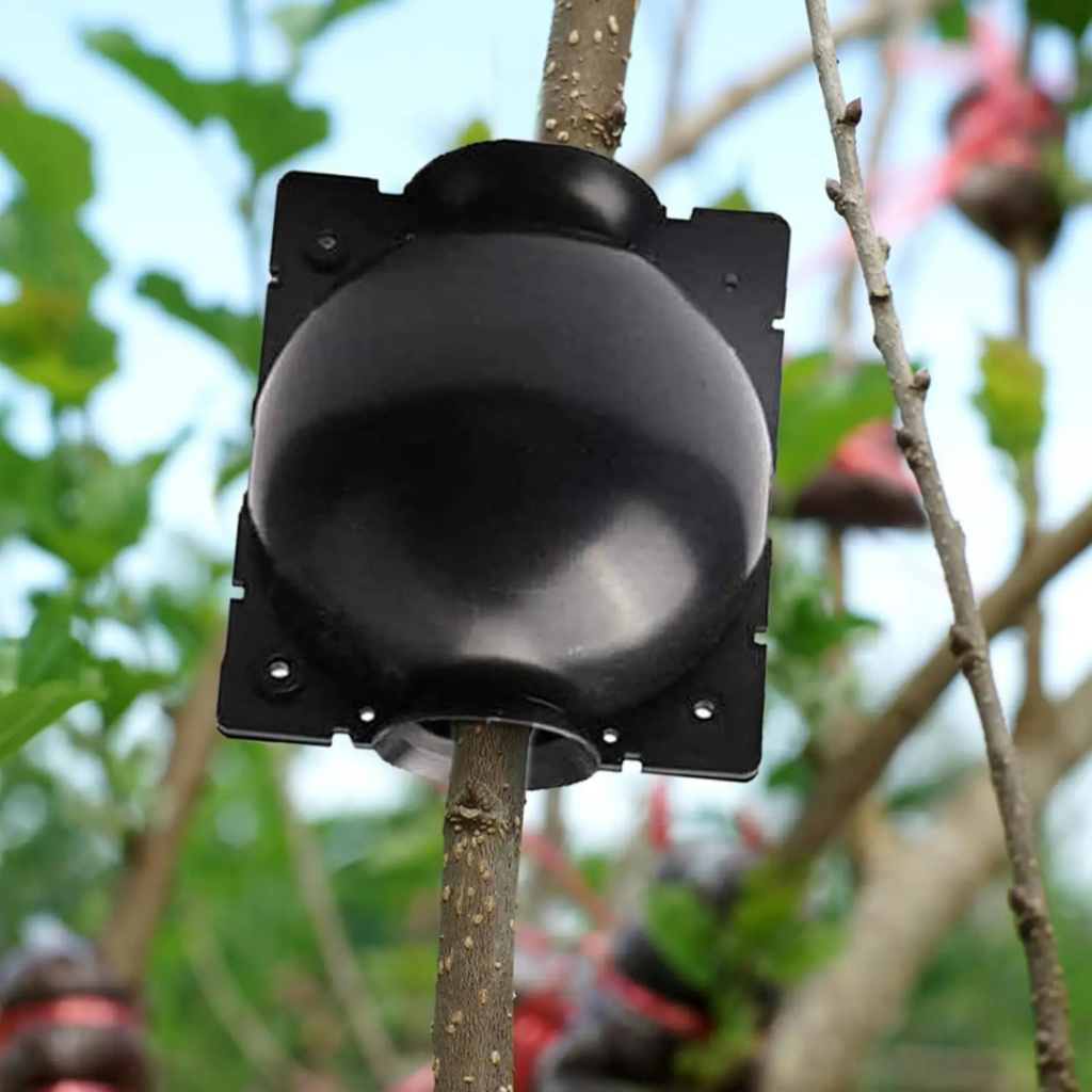 kit 5 Unidades Esfera enxerto Para Clonar Plantas Alporquia