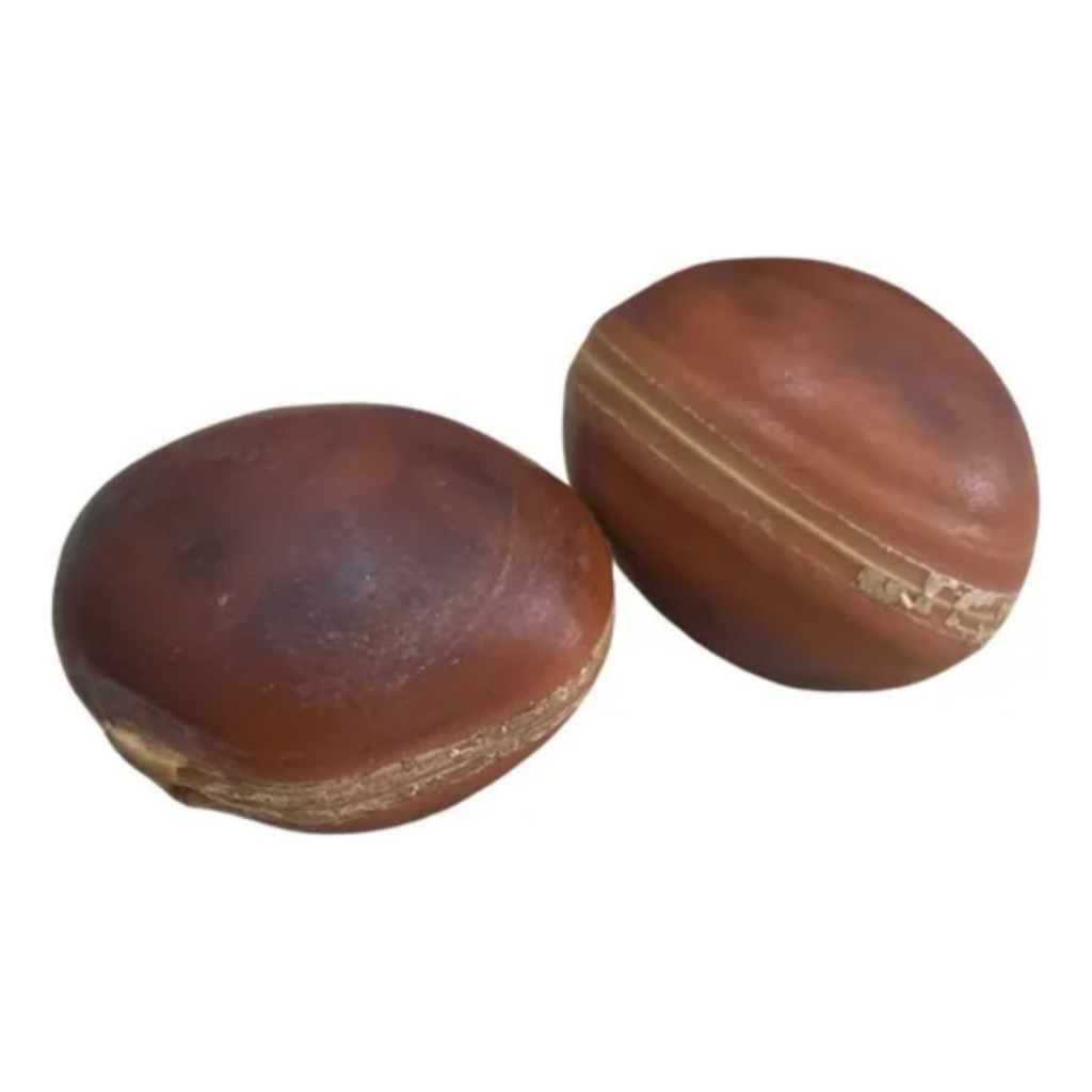 Semente Olho Boi Mucunã Qualidade Natural Amuleto Contra Inveja Negatividade em Oferta na Shopee