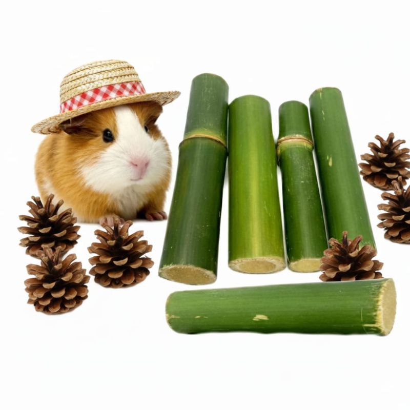 brinquedo Bambú e de pinha Natural Para Roedores Porquinho Da India Hamster coelho 05 unid e 6 unidades de pinha