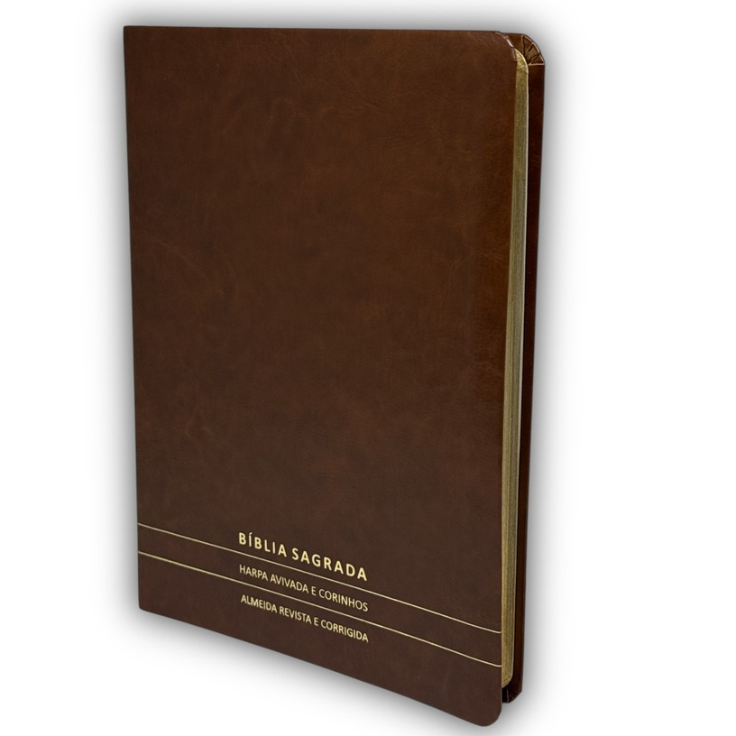 Bíblia Minimalista Marrom: Onde Comprar | BuscaProdutos