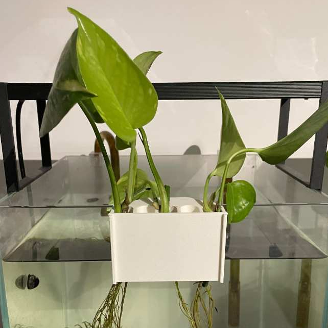 Suporte Plantas Aquário 5 Furos - Hidroponia Jiboia e Mudas Clip Suporte Hanger 5 slots