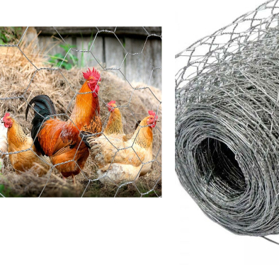 Tela Galinheiro , Arame Galvanizado para  Horta , Avicultura , Cercado F2"x 23 x 1,50m COM 50m