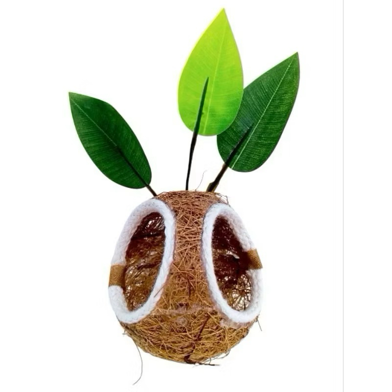 Ninho Bola Com fibra de Coco Natural para Coleiro papa capim curio — imagem 2 de 2