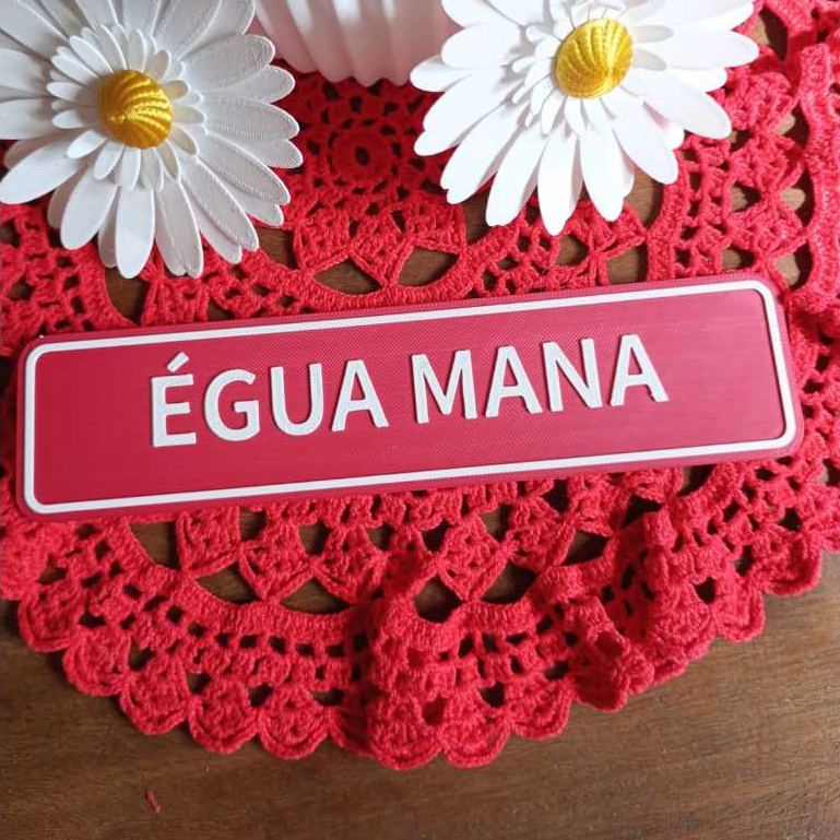 Placa decorativa ÉGUA MANA (20x5cm) Plaquinha PLA com frases divertidas Escrita em Relevo Casa
