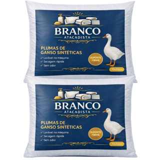 Travesseiro De Pluma Antialérgico Luxo Toque Macio Antiácaro em Oferta na Shopee