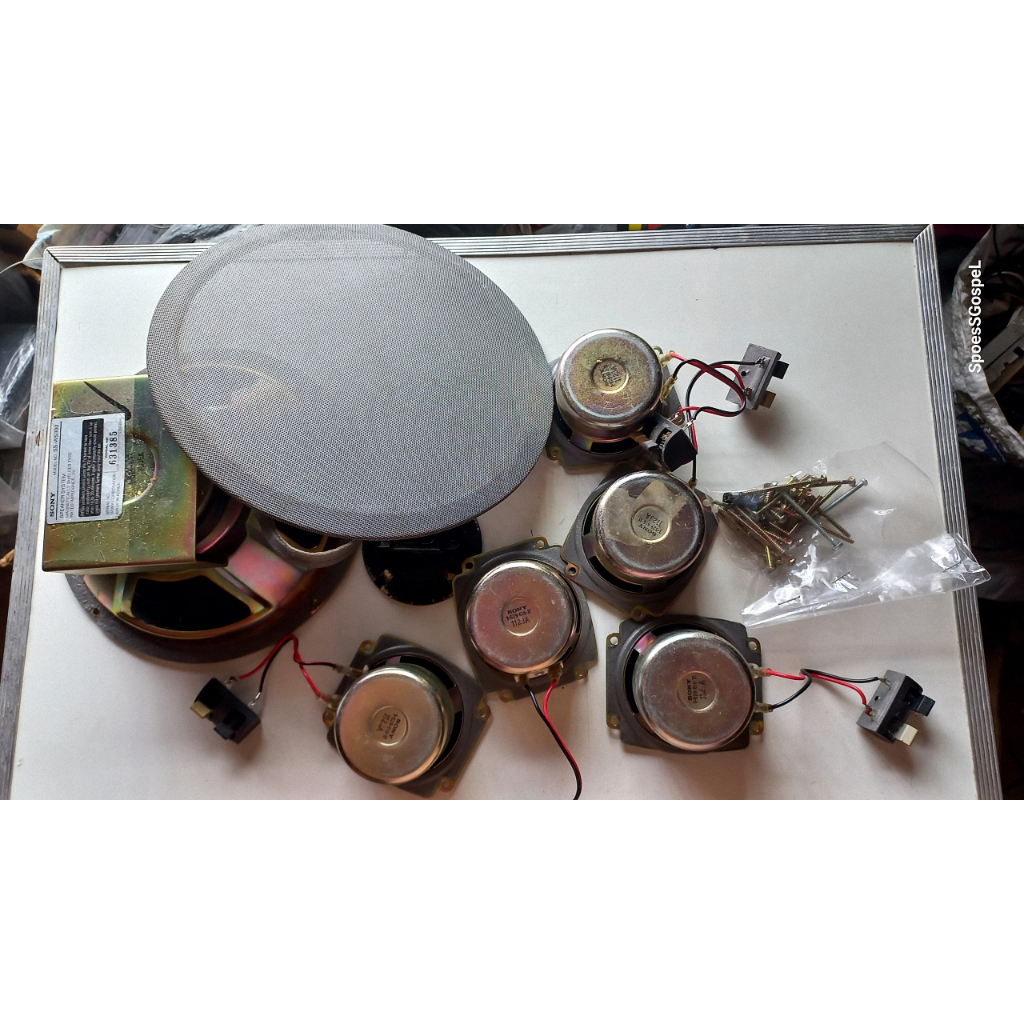 AUTO FALANTE DA Subwoofer Sony WS300 USADo Só AUTO FALANTE