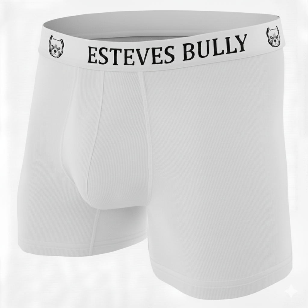 Kit com 5 Cuecas Boxers Masculino  Adulto Cueca Box Premium Com Forro 100% Algodão