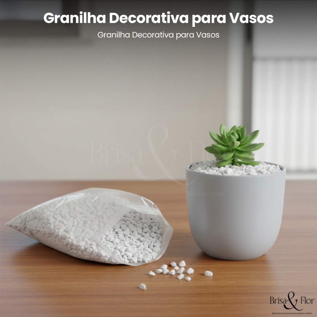 Granilha Pedra Branca Pedrisco Para Drenagem De Vasos Plantas Suculenta Bonsai Jardim Vasinhos em Oferta na Shopee