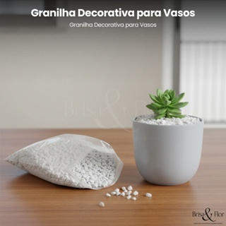Granilha Pedra Branca Pedrisco Para Drenagem De Vasos Plantas Suculenta Bonsai Jardim Vasinhos em Oferta na Shopee