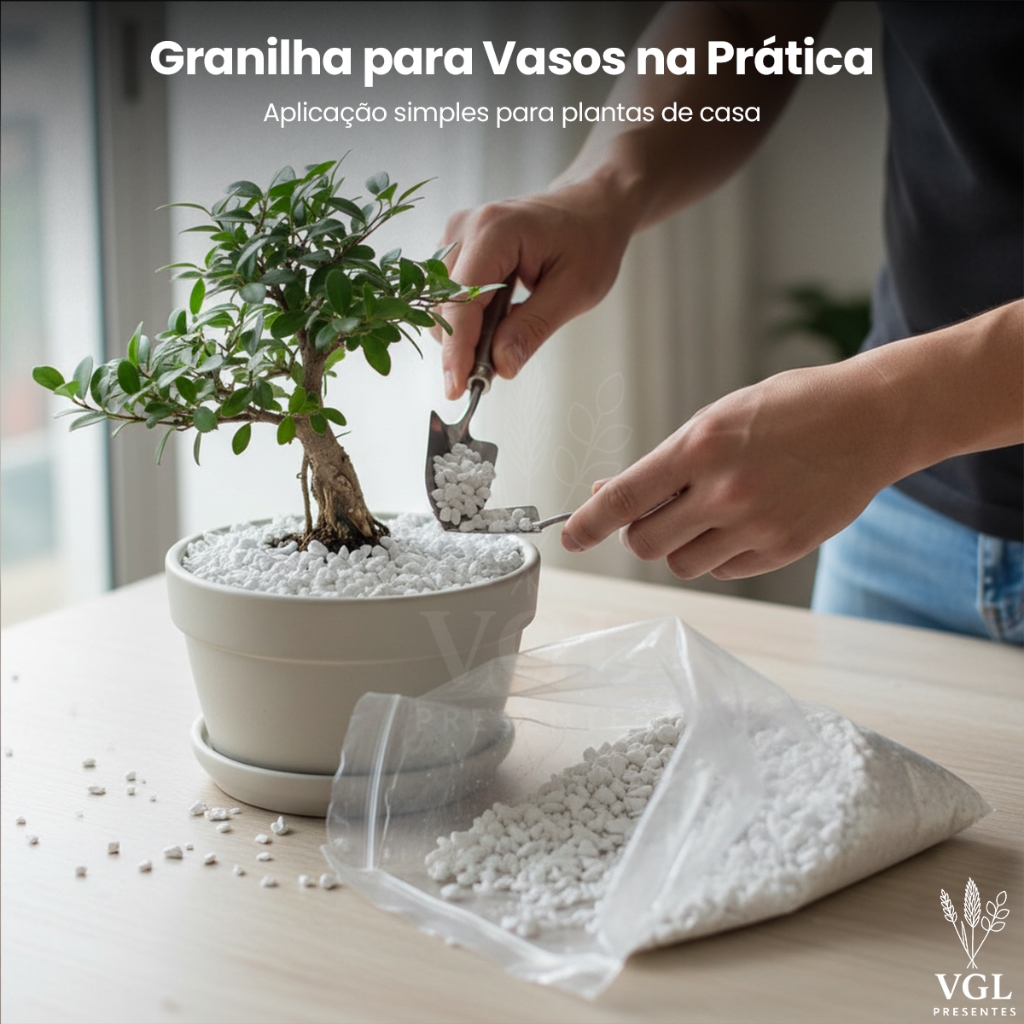 Granilha Branca Para Vasos Pequenos Pedrinhas Decoração Suculenta Cactos Plantas Bonsai Drenagem
