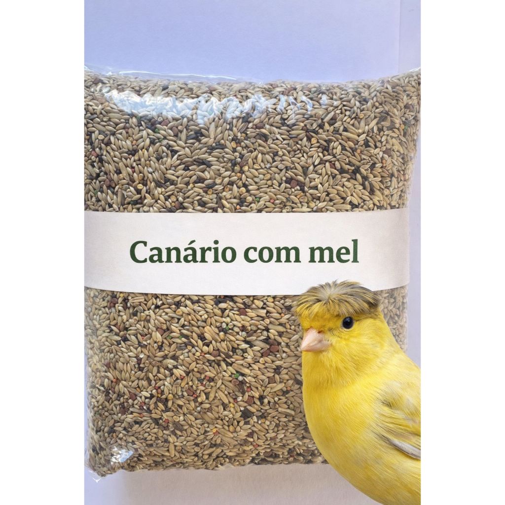 Canario do reino belga com mel sementes  premium até 2kg